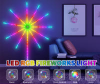 Tira De Luces LED Coloridas De 30LED/M Control Remoto Bluetooth APP 5V USB Para Ambiente Musical Y Decoración De Paisaje - details 0