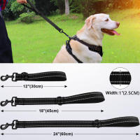 Correa Corta Para Perros Taglory Con Manija Padded Y Cinta Reflectante Correa De Nylon Resistente Para Entrenamiento Y Control - details 3