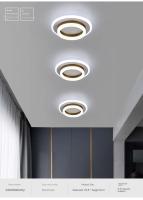 Luces De Techo LED Minimalistas Modernas Para Pasillo Sala De Estar Iluminación Nórdica Luces De Balcón Spot De Canal Incluye Bombillas Fuente De Alimentación AC - details 10