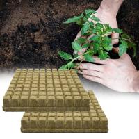 Cubes De Cultivo Hidroponico De 25x25x25mm 50pcs Medio De Cultivo Stonewool Substrato Sin Tierra Bloque De Semillero De Lana De Piedra - details 3