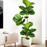 Falsa Hoja De Magnolia Y Ficus 105cm Para Decoración De Jardín Patio Interior Oficina Hoja De Figura Artificial De 41.3 Pulgadas - details 12