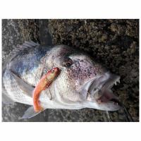 JLC Killer Cebo Vinilo Blando Pesca Jigging  105 mm - details 0