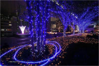 Guirnalda De Luces LED Fairy 10M-100M Impermeable Para Árbol Jardín Boda Fiesta Decoración Interior Exterior Navidad - details 19