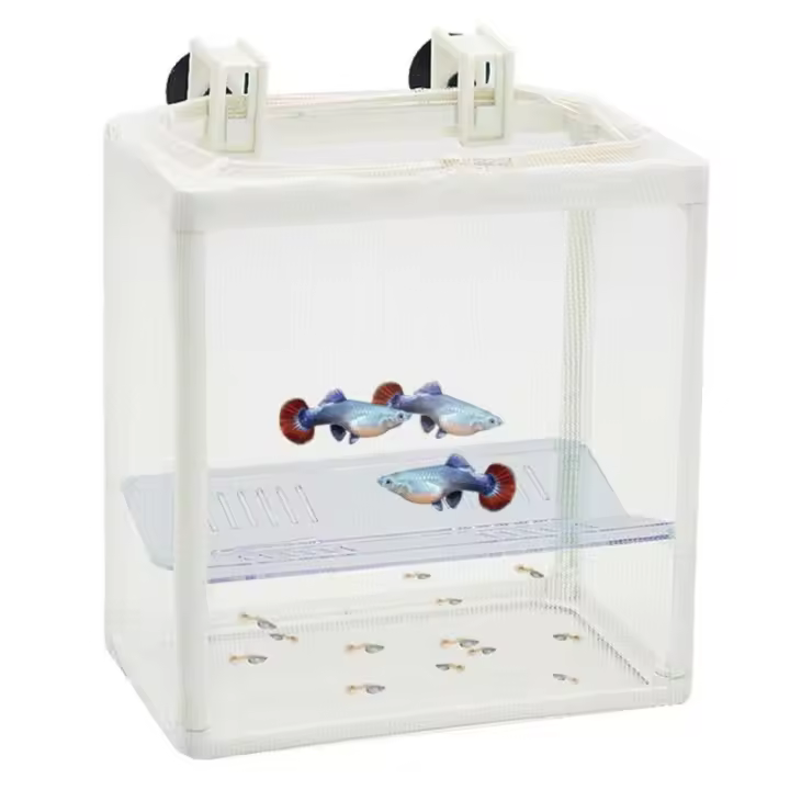 Paridera/Enfermería de Red con Separador 14.5 cm: Espacio Seguro para Alevines y Peces Enfermos - CP - 1