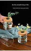 Maceta Creativa Para Plantas Hidroponicas Miniatura En Vidrio Transparente Decorativa Para Casa Y Salon Uso En Mesas - details 4