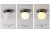 Lámpara De Techo LED Nórdica Sencilla Para Dormitorio Y Pasillo Iluminación Industrial De Acero Negro Y Acrílico G9 SinInterruptor Moderna Para Cocina Comedor Estudio Baño - details 2