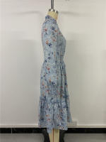 Vestido Casual De Mujer Con Estampado Floral Cuello V Manga Larga A-Line Longitud De Rodilla Cintura Alta Primavera Otoño Invierno - details 34
