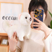 Nueva Premium Peluche Lindo Pomeranian Perro Juguetes Real Vida Muñeco De Peluche Suave Mascota Para Niñas Niños Regalo Encantador - details 8