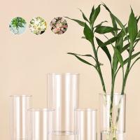 Vaso De Acrílico Estilo Contemporáneo Transparente Para Flores Frescas Y Plantas Hidroponicas Decoración De Hogar Y Boda - details 3