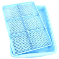 Plato De Crecimiento Para Plantas 2 Capas Bandeja Para Semillas Y Ensayos Sistemas Hidroponicos De Cultivo De Frijoles - details 2