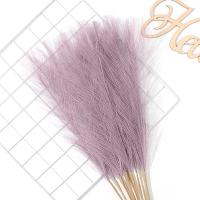 5/10Pcs Bouquet De Pampas Artificiales Flores De Reed Para Decoración De Hogar Jardín Boda Y Fiestas Internas Y Externas - details 16