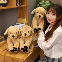 Muñeco De Peluche Labrador Realista Para Niños Regalo De Cumpleaños Juguete Suave De Perro Creativo 35/75cm Stuffed Animal Puppy Dolls - details 19