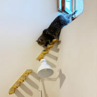 Escalera De Madera Y Algodón Para Gatos Montada En La Pared Con Pasos Para Jugar Y Dormir Mobiliario Para Mascotas Internas Con Rascador - details 0