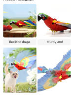 Juguete Eléctrico Silencioso Para Gatos Parrot Teaser Volador Interactivo Suministros De Entrenamiento Para Divertido Perpetuo - details 5