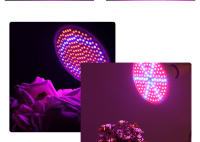 Lámpara De Crecimiento Para Plantas LED E27 Espectro Completo Foco Para Cultivo En Invernadero Y Tentación Hidroponía Con Varias Quantidades De LEDs 48/60/80/126/200/300 - details 4