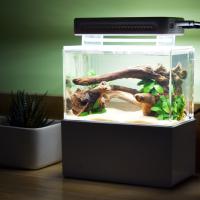 Acuario De Mesa 1.5L Mini Para Betta Peces Con Filtro Y Bomba De Aire USB Luz LED Decoración Marina Sin Contener Químicos Originales En China - details 12