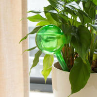 Bolas De Plástico PVC Para Riego Automático De Plantas Jardín Dispositivo De Riego Por Drip Irrigación Self Watering Drip Para Macetas - details 5