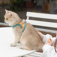 Juego De Correa Y Arnes Para Gato Estampado Anti-R Rompedor Con Collar Chaleco Antirrompible Para Entrenamiento Y Caminar Para Perros Y Gatos Material De Tela De Gamuza - details 11