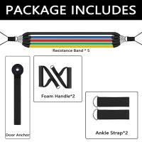 Set De Bandas De Resistencia Con Anclaje Para Puerta Manijas Y Bolsa De Transporte Ejercicios De Gimnasio En Casa Para Muslos Pecho Brazos Y Cintura - details 0