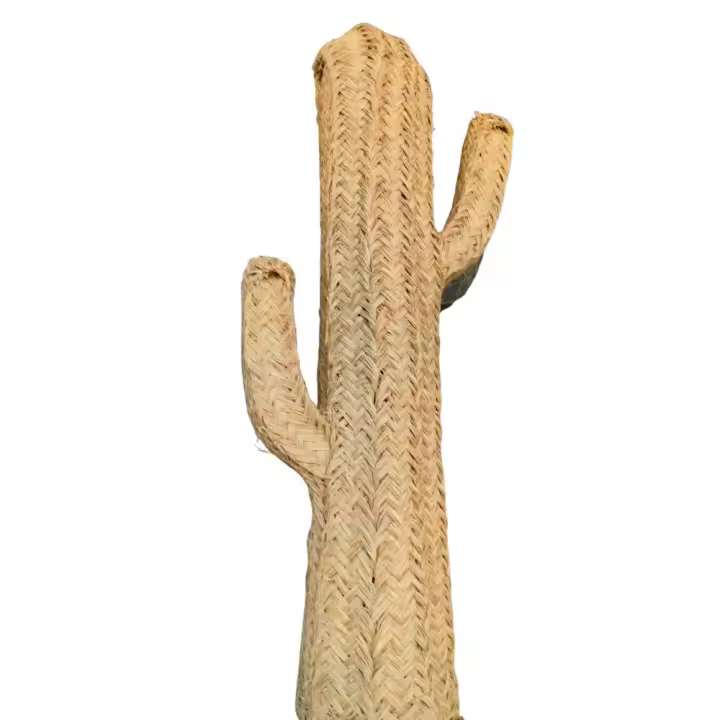 Cactus Esparto Natural Medidas 62 a 165 cm - 1