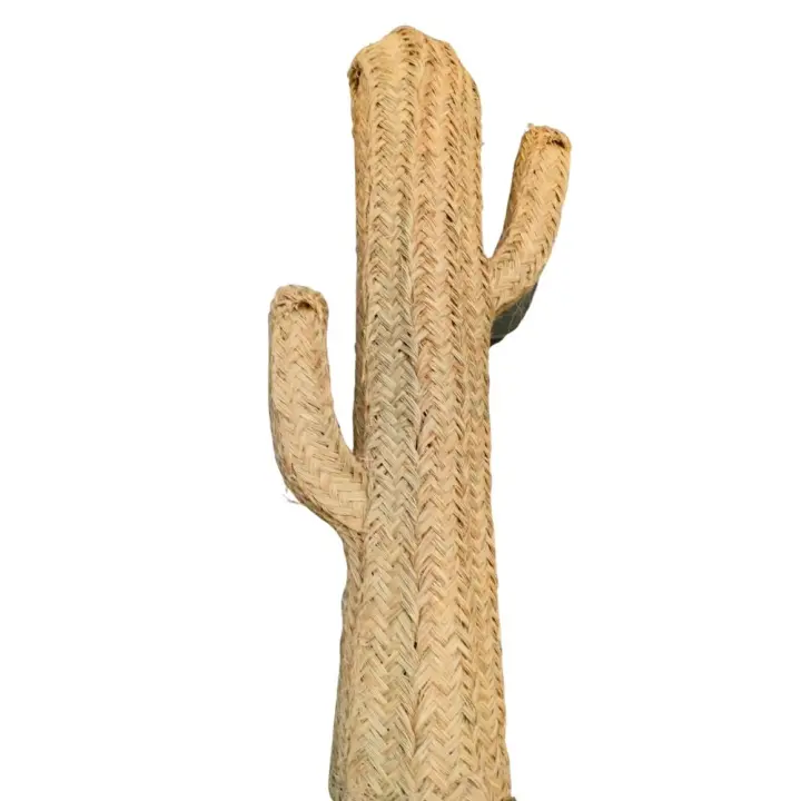 Cactus Esparto Natural Medidas 62 a 165 cm - 1