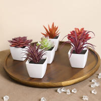 Juego De Macetas De Plástico Evergreen Para Decoración De Escritorio Y Oficina Estilo Suculentas Sin Mantenimiento Realista - details 6