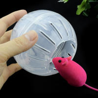 Bola De Ejercicio Para Rattus Y Otros Roedores Pequeños Juguete De Plástico Transparente Para Juego Y Diversion En La Casa De Los Animales - details 6
