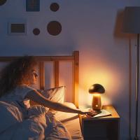 Lámpara De Mesa De Hongo Recargable Táctil Portátil Para Decoración Del Hogar Luz Nocturna Dimmer Para Dormitorio Pequeña Y Moderna - details 11