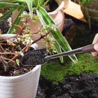 Mini Conjunto De Herramientas Para Jardín Para Plantas Flores Suculentas Verduras Adecuado Para Plantas Pequeñas En Macetas Herramientas De Jardinería Interior - details 0