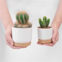 Maceta Autoidal Para Plantas Pequeñas Y Suculentas Doble Capa Con Almacenamiento De Agua Estilo Clásico Material Plástico - details 2