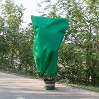 Cubierta De Plantas Invierno Calor Protección Contra Heladas Para Árboles Y Macizos Jardín Patio Blanco Tela No Tejida Adecuada Para Protección Fría - details 8