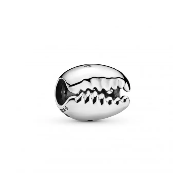 Charm Pandora Concha Brillante - 798131CZ - 1
