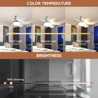 Ventilador De Techo Moderno Con Luz Y Control Remoto Combina Ventilador Y Luz LED Dimmable Para Decoración Interior Incluye Bombilla - details 6