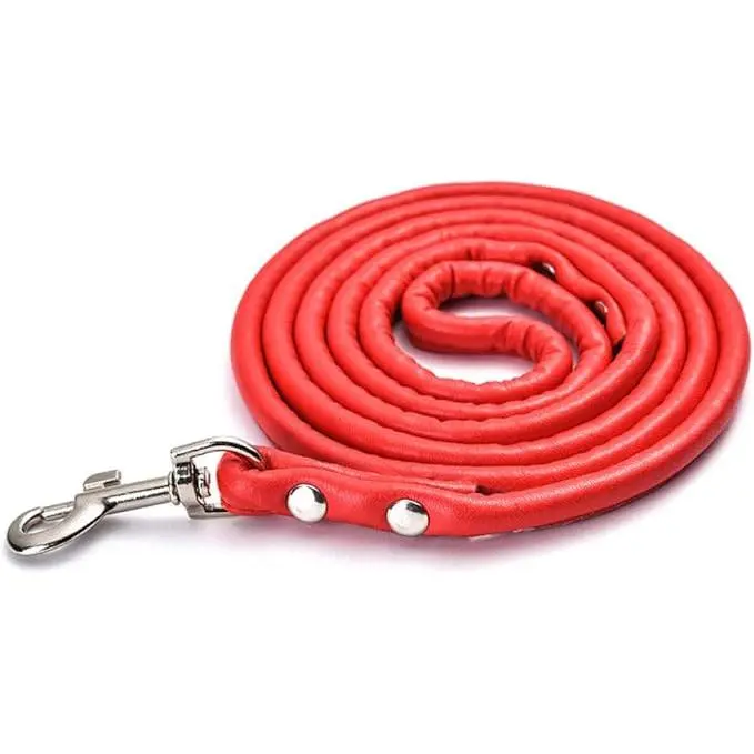 Correa para Perro Verde PET Correa PU Cómodo - 1