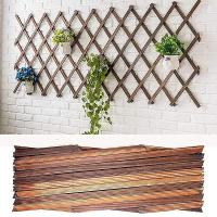 Expanding Wooden Garden Wood Pull Mesh Wall Fence Grille Garden Sub Garden Decoration Frame - details 3
