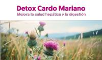 NUTRIBRAIN | Cardo Mariano 3X ACCIÓN con Cúrcuma, Diente de León, Alcachofa, Cola de Caballo, Colina & Desmodium | Depurativo DETOX para apoyo Hepático, Diurético y Digestivo | 155 Cáps. - details 0