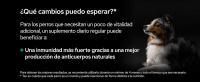 Purina Pro Plan Perro Suplemento Natural Defences 67 gr. Proplan suplemento - Complemento alimenticio para reforzar las defensas de los perros 45 tabletas, - details 3