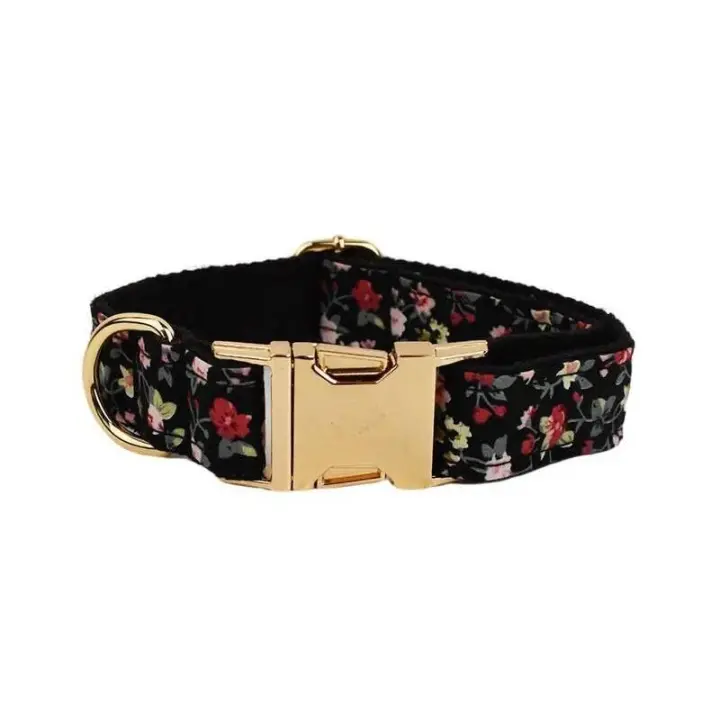 Conjunto Correa Perro, Collar con nombre personalizado Perros Pequeños y medianos, Placa Identificación personalizada, arnés - 1