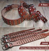 Correa De Cuero Ajustable Con Espikes Para Perros Pug Diseño De Collar Para Mascotas Pequeñas Medianas Y Grandes Colores Negro Y Marrón - details 5