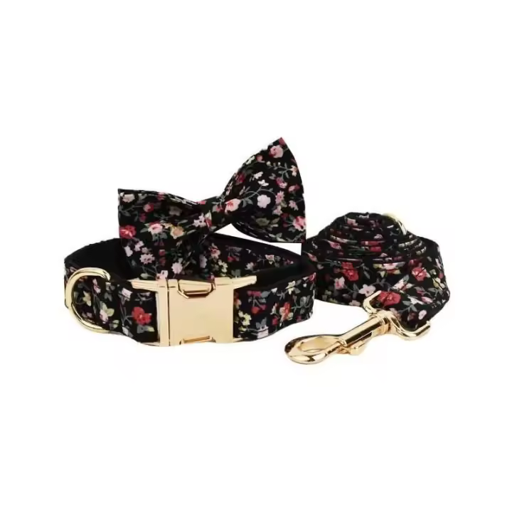 Conjunto Correa Perro, Collar con nombre personalizado Perros Pequeños y medianos, Placa Identificación personalizada, arnés - 1