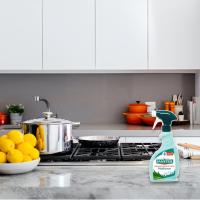 Limpiador Desinfectante Multiusos Eucaliptus SANYTOL - Sin Lejía Elimina el 99,9% de Gérmenes - Pistola de 750ml - Packs de  2 y 4 Unidades - Ideal para Limpiar y Desinfectar Hogares con Bebés y Mascotas - SANYTOL. - details 0
