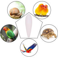 Juguetes Para Morder De Caliza De Cutícula Natural Alimento Para Pájaros Juguete De Moler Para Pericos Cacatúa Macaco - details 1