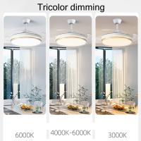 Ventilador de Techo con Luz LED 72W – 120 cm (48") con Mando a Distancia, 6 Velocidades y Temporizador, Diseño Moderno – Motor Silencioso, Función Verano/Invierno, Bajo Consumo - details 2