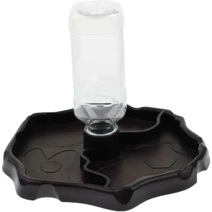 Dispensador de agua portátil con plato de plástico para reptiles, tortugas y geckos - 1