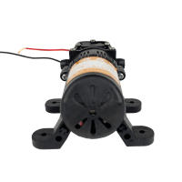 Bomba De Agua Eléctrica Diáfragma DP-521 12V 220V 70PSI 3.5L/min Para Lavar Coches Y Agricultura Resistente Y De Alta Presión - details 6
