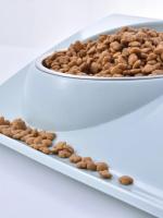 Cuenco de agua de acero inoxidable, comedero, solución, suministros para perros y gatos, cuenco doble, mesa de alimentación para perros y gatos - details 9