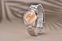 Reloj De Pulsera Automático Para Hombre PAGANI DESIGN 2024 Acero Inoxidable Resistente Al Agua Con Cristal De Zafiro Y Marcadores Arábigos - details 7