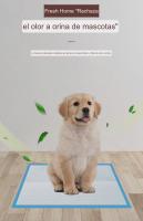 Empapadores para perro, empapador de mascota, accesorio para mascota - details 4