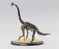 JSXuan Kit De Artesanía De Dinosaurios: Esqueleto De Triceratops Mamut Y Rex De Bones Asamblea Fósiles Para Jóvenes Y Adultos - details 1