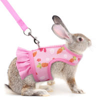 Harnés De Conejo Con Correa Ajustable Y Malla Transpirable Para Cachorro De Conejo Cochinilla Pequeño Animal De Peluche - details 11